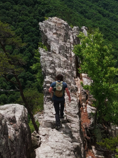 mike fink gear submission faq